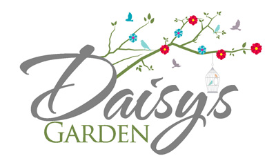 Daisy's Garden